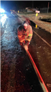 01.15.2024 Fire fighter rolling hose