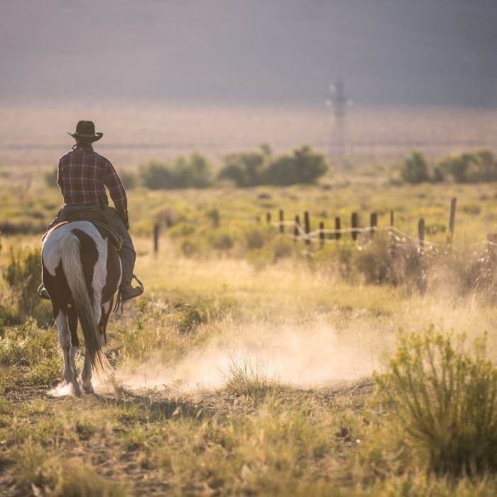 Cowboy