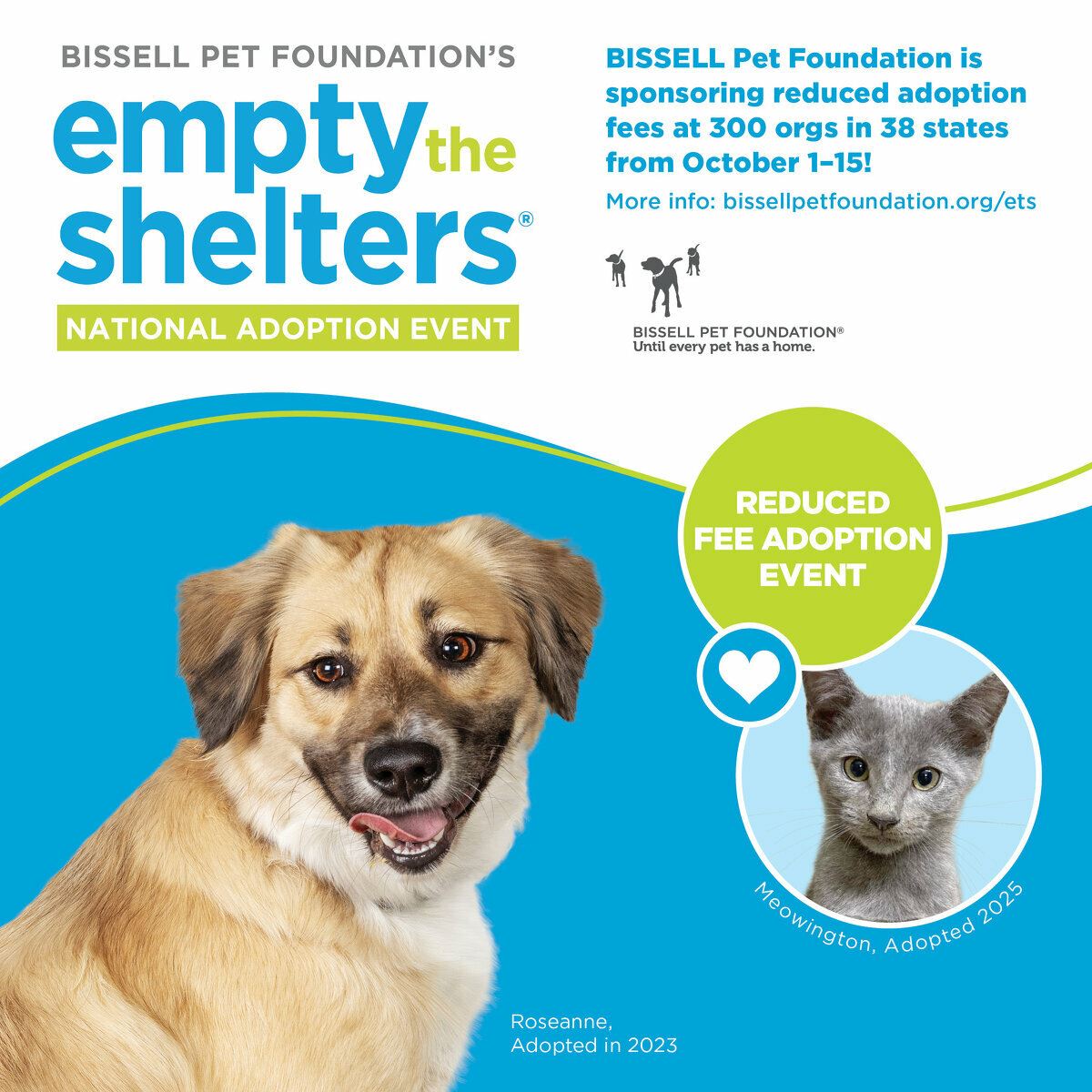 Empty the Shelthers