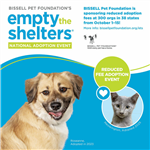 Empty the Shelthers