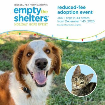 Website Empty the Shelter Holiday Hope Event