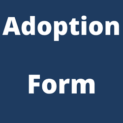 Adoption Form Opens in new window